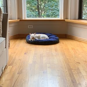 Meet your Posher, Cristina